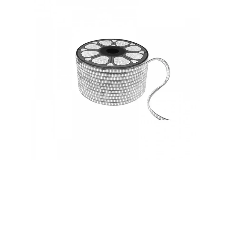 LED strips 220V