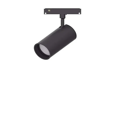 Magnetic rail projectors