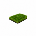 Artificial Turf