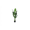 Indoor Artificial Plants
