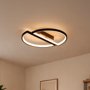 LED chandelier with remote control VECTOR ARCUS 52W, 2 Elements, Cold/Warm/Neutral light, Dimmable, Black LED chandeliers with remote control Default Title Alessandro Design