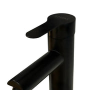 Sink Faucet, SUS304 Stainless Steel, Black, HS/LY006 Bathroom Faucets Default Title Alessandro Design