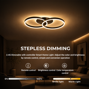 LED Chandelier with remote control RIGA LILITH 34W, 2 Circles, Cold/Warm/Neutral light, Dimmable, Black LED Chandeliers with Remote Control Default Title Alessandro Design