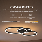 LED Chandelier with remote control RINOVA 66W, 2 Circles, Cold/Warm/Neutral light, Dimmable, Black LED Chandeliers with Remote Control Default Title Alessandro Design