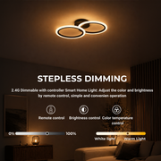 LED Chandelier with remote control BETTY 27W, 2 Circles, Cold/Warm/Neutral light, Dimmable, Black LED Chandeliers with Remote Control Default Title Alessandro Design