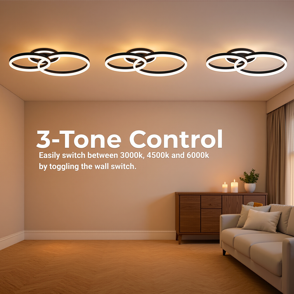 LED Chandelier with remote control RINOVA 66W, 2 Circles, Cold/Warm/Neutral light, Dimmable, Black LED Chandeliers with Remote Control Default Title Alessandro Design