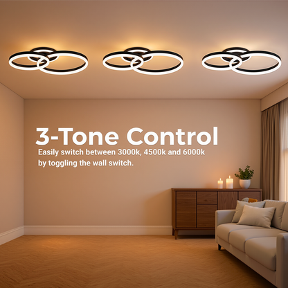 LED Chandelier with remote control RINOVA 66W, 2 Circles, Cold/Warm/Neutral light, Dimmable, Black LED Chandeliers with Remote Control Default Title Alessandro Design