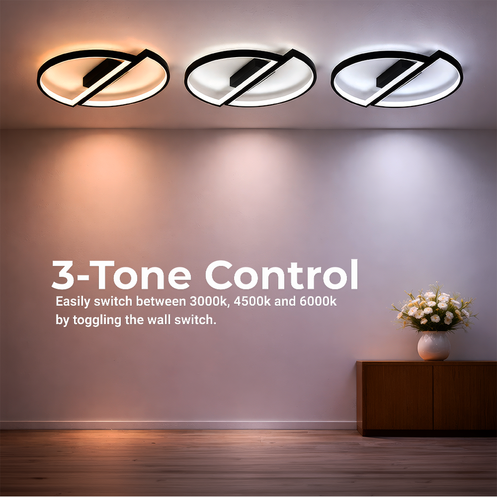 LED chandelier with remote control VECTOR ARCUS 52W, 2 Elements, Cold/Warm/Neutral light, Dimmable, Black LED chandeliers with remote control Default Title Alessandro Design