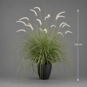 Planta Artificială Iarbă Ornamentală Tip Coadă de Vulpe, 120cm, Iarbă curbată și Spice, Verde si Alba, Fara Ghiveci