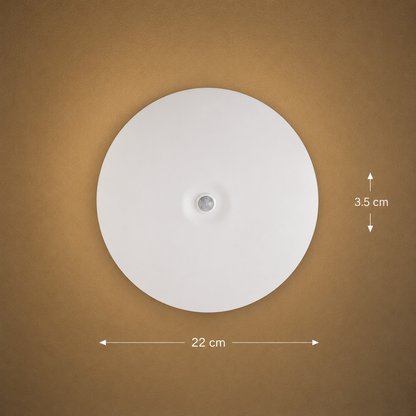 LED ceiling lamp PL200/17R 24W Cold Light 6000k White