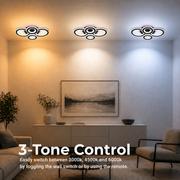 LED Chandelier with remote control and crystal NOVA ROTONDA RGB 82W, 4 Circles, Cold/Warm/Neutral light, Dimmable, Black LED Chandeliers with Remote Control Default Title Alessandro Design