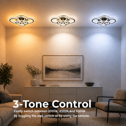 LED Chandelier with remote control BETTY 127W, 8 Circles, Cold/Warm/Neutral light, Dimmable, Black LED Chandeliers with Remote Control Default Title Alessandro Design