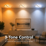 LED chandelier with remote control VECTOR ARCUS 52W, 2 Elements, Cold/Warm/Neutral light, Dimmable, Black White, Metal