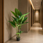 Plantă Artificială Tip Alocasia, 3 tulpini, 160 cm, Verde