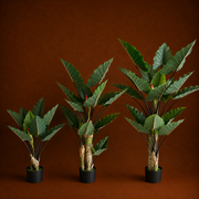 Plantă Artificială Tip Alocasia Cu Frunze Late, 3 trunchiuri, Plastic, 160 cm, Verde