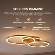 LED Chandelier with Remote Control RINOVA 66W, 2 Circles, Cold/Warm/Neutral Light, Dimmable, Shiny Gold LED Chandeliers with Remote Control Default Title Alessandro Design