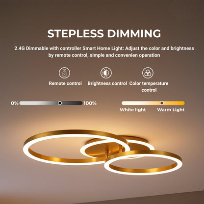LED Chandelier with Remote Control RINOVA 66W, 2 Circles, Cold/Warm/Neutral Light, Dimmable, Shiny Gold LED Chandeliers with Remote Control Default Title Alessandro Design