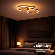LED Chandelier with Remote Control RINOVA 66W, 2 Circles, Cold/Warm/Neutral Light, Dimmable, Shiny Gold LED Chandeliers with Remote Control Default Title Alessandro Design