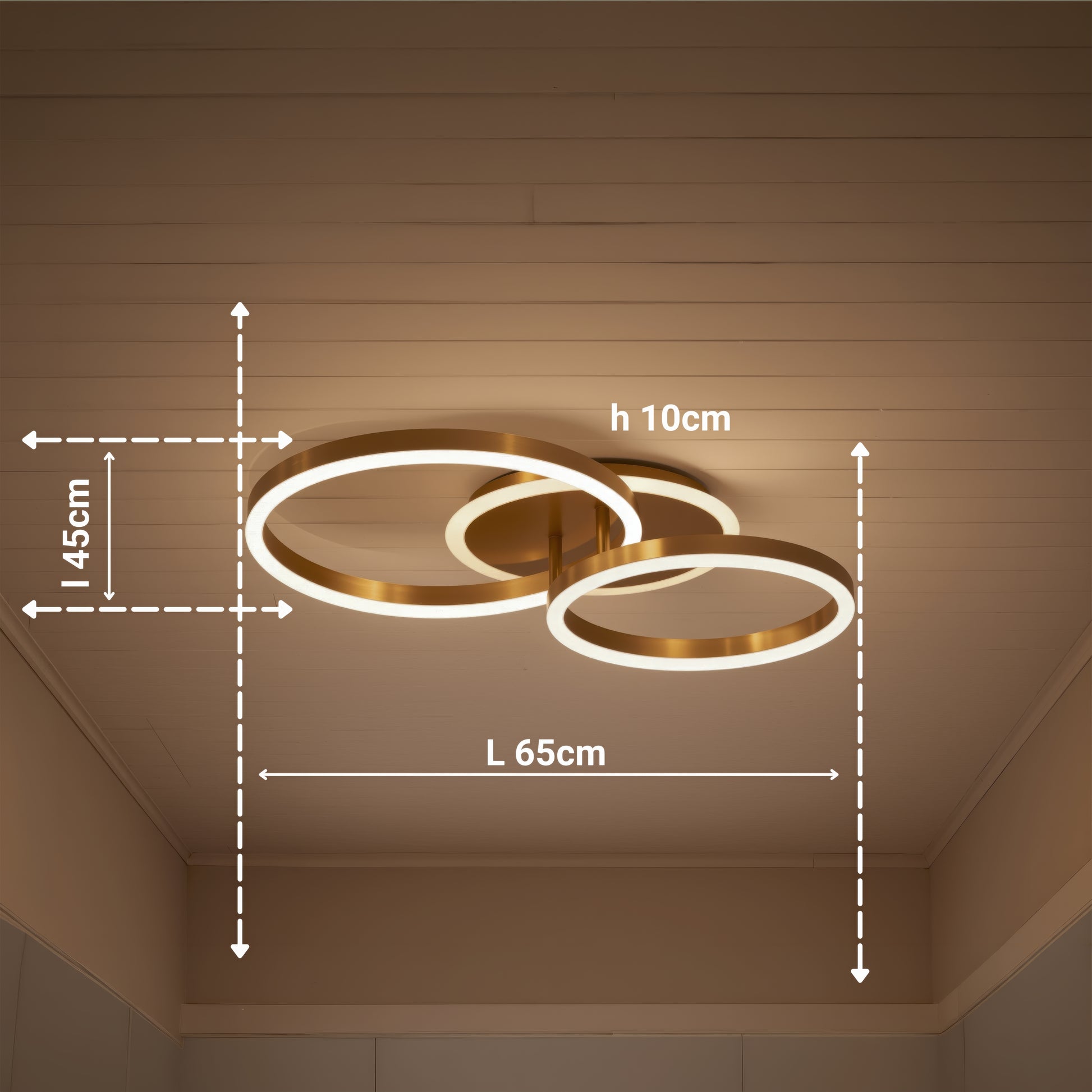 LED Chandelier with Remote Control RINOVA 66W, 2 Circles, Cold/Warm/Neutral Light, Dimmable, Shiny Gold LED Chandeliers with Remote Control Default Title Alessandro Design