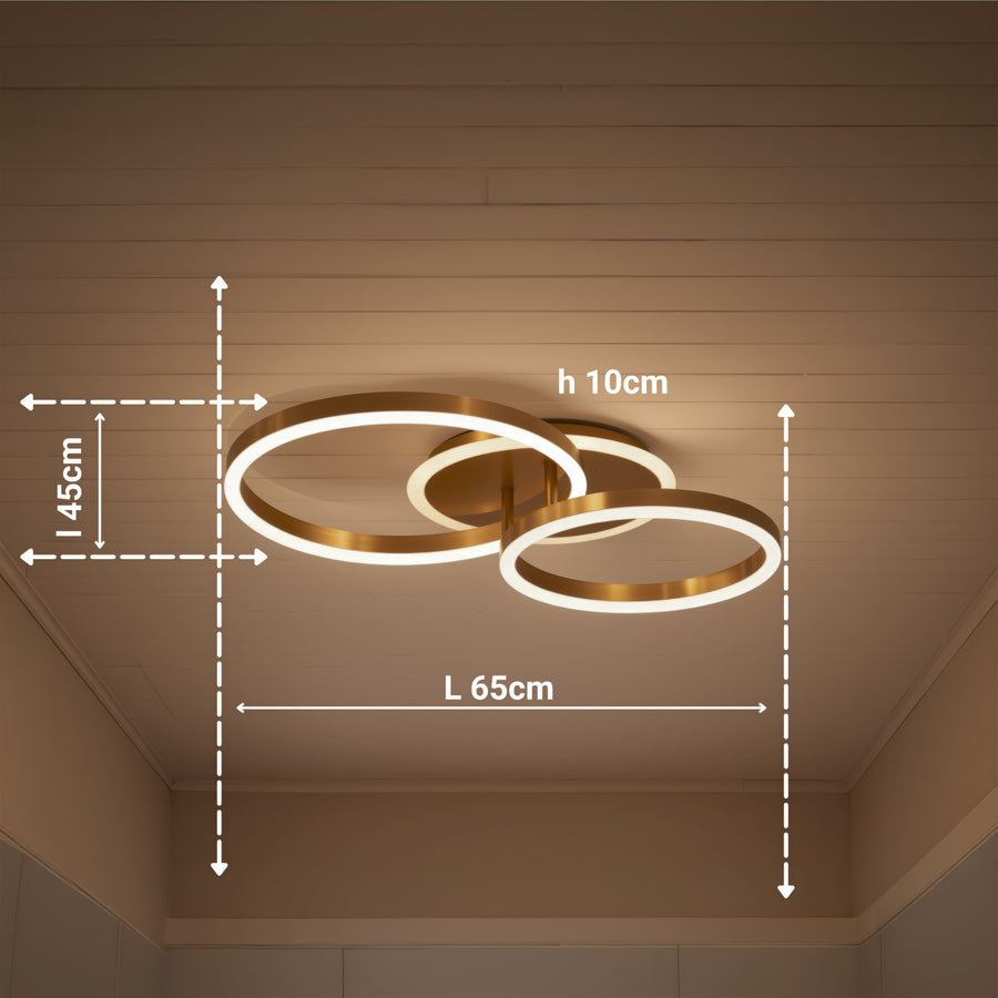 LED Chandelier with Remote Control RINOVA 66W, 2 Circles, Cold/Warm/Neutral Light, Dimmable, Shiny Gold LED Chandeliers with Remote Control Default Title Alessandro Design