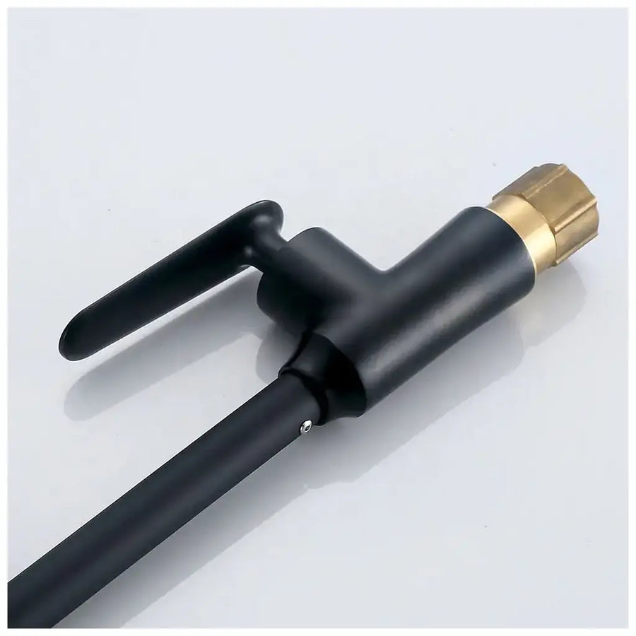 Sink Faucet Ceramic Cartridge Rotatable Faucet Black Connections Included EC01 Kitchen Faucets Default Title Alessandro Design