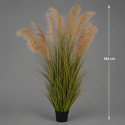 Planta Artificială Iarbă Ornamentală, 183cm, cu 13 fire, Stuf si Iarba, Verde Tomnal, Fara Ghiveci