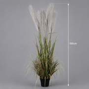 Planta Artificială Iarbă Ornamentală, 180cm, cu 5 fire, Stuf si Iarba, Verde si Gri, Fara Ghiveci