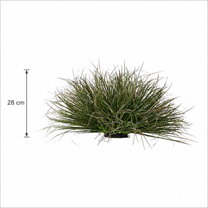 Planta Artificială Tufă de Iarbă Tip Ceapă Curbată, 28 cm, Densitate Redusă, Verde Închis, Fara Ghiveci