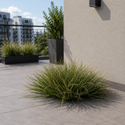 Planta Artificială Tufă de Iarbă Tip Ceapă Curbată, 38 cm, Densitate Medie, Verde Închis, Fara Ghiveci