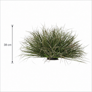 Planta Artificială Tufă de Iarbă Tip Ceapă Curbată, 38 cm, Densitate Medie, Verde Închis, Fara Ghiveci