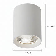 Proiector LED TINNIE, Fix, 8W, Lumina Neutra 4000K, Alb