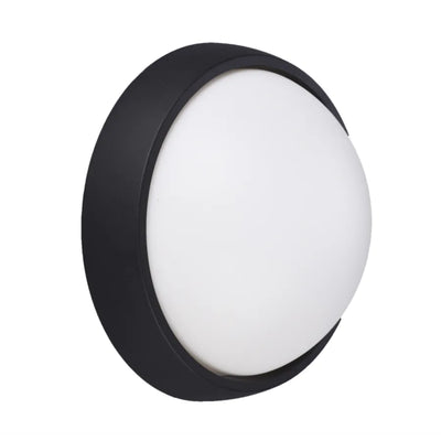 Rony Outdoor Wall Lamp, 12W, Black, 6400K, cold light