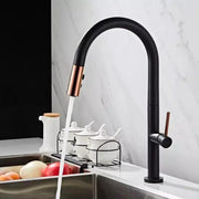 Kitchen Faucet, Sanitary Brass, Black, CF1035/B Kitchen Faucets Default Title Alessandro Design