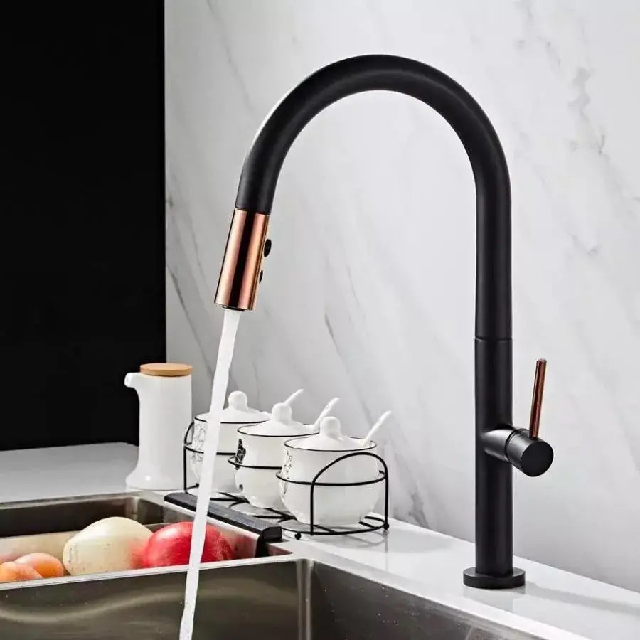 Kitchen Faucet, Sanitary Brass, Black, CF1035/B Kitchen Faucets Default Title Alessandro Design