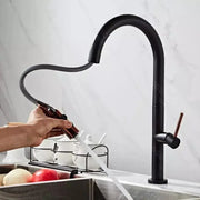 Kitchen Faucet, Sanitary Brass, Black, CF1035/B Kitchen Faucets Default Title Alessandro Design