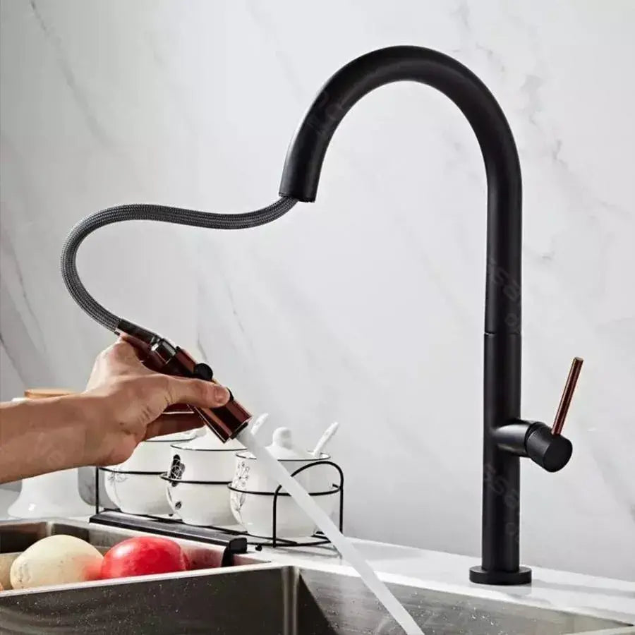 Kitchen Faucet, Sanitary Brass, Black, CF1035/B Kitchen Faucets Default Title Alessandro Design