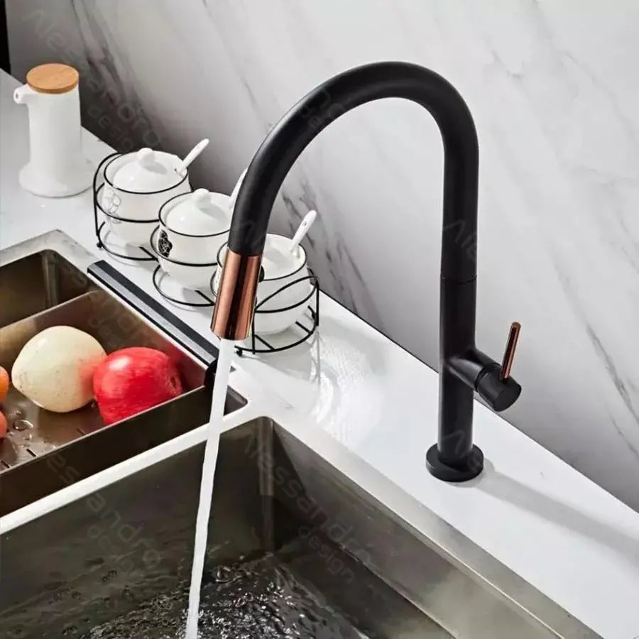 Kitchen Faucet, Sanitary Brass, Black, CF1035/B Kitchen Faucets Default Title Alessandro Design