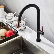 Kitchen Faucet, Sanitary Brass, Black, CF1035/B Kitchen Faucets Default Title Alessandro Design