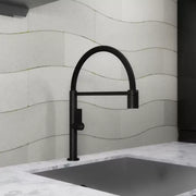 Kitchen Faucet, Sanitary Brass, Black, CF2045 Kitchen Faucets Default Title Alessandro Design