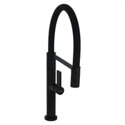Kitchen Faucet, Sanitary Brass, Black, CF2045 Kitchen Faucets Default Title Alessandro Design