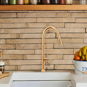 Kitchen Faucet with Extractable Shower, Sanitary Brass, Gold, CF2043 Kitchen Faucets Default Title Alessandro Design