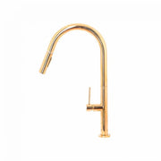 Kitchen Faucet with Extractable Shower, Sanitary Brass, Gold, CF2043 Kitchen Faucets Default Title Alessandro Design