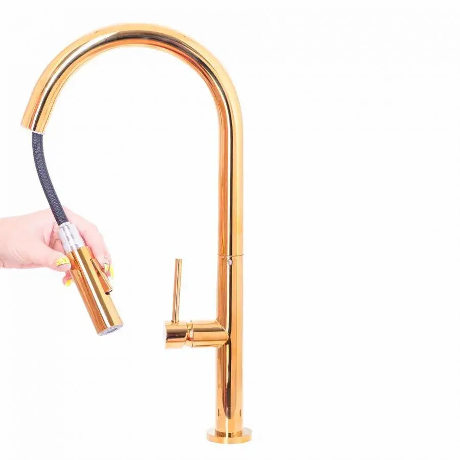Kitchen Faucet with Extractable Shower, Sanitary Brass, Gold, CF2043 Kitchen Faucets Default Title Alessandro Design