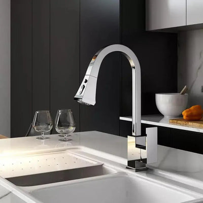 Kitchen Faucet with Extractable Shower, Sanitary Brass, Chrome, OD/2012