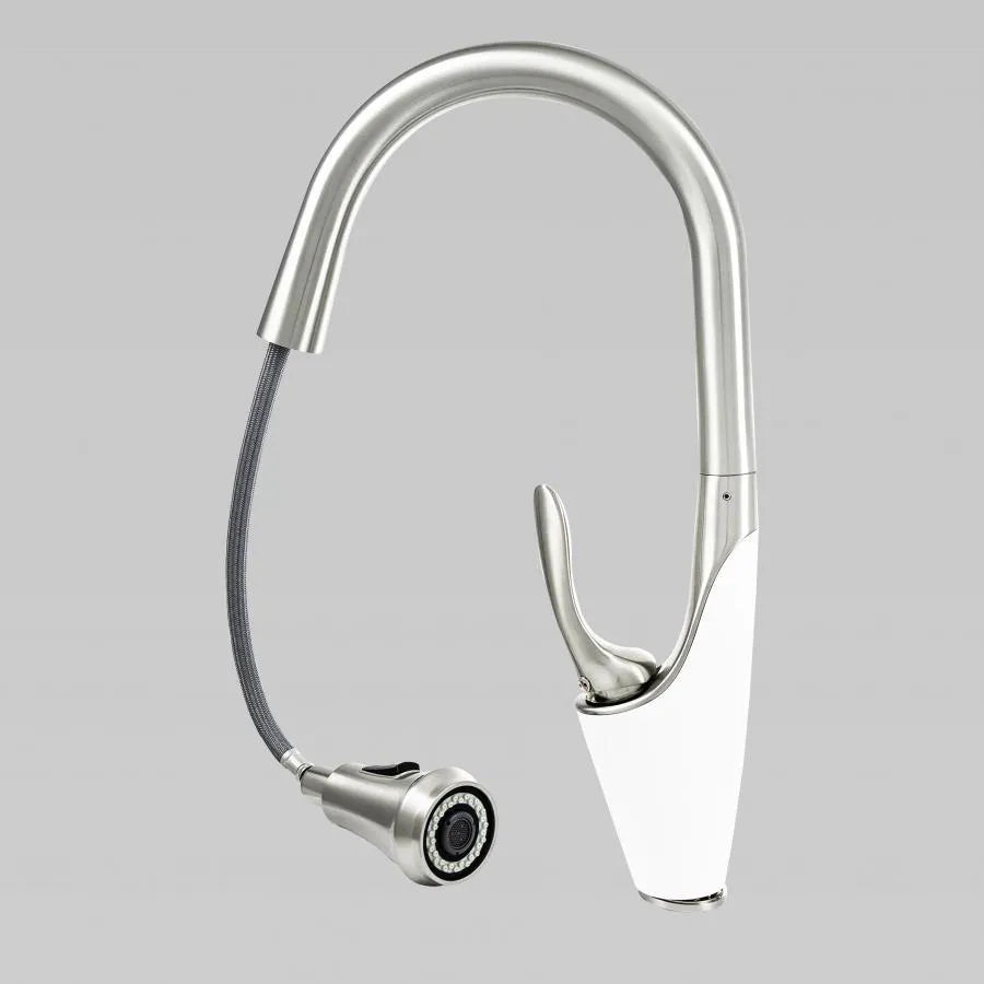 Kitchen Faucet with Extractable Shower, Sanitary Brass, Chrome, W054 Kitchen Faucets Default Title Alessandro Design