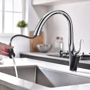 Kitchen Faucet with Extractable Shower, Sanitary Brass, Chrome, W058 Kitchen Faucets Default Title Alessandro Design