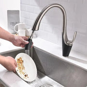 Kitchen Faucet with Extractable Shower, Sanitary Brass, Chrome, W058 Kitchen Faucets Default Title Alessandro Design