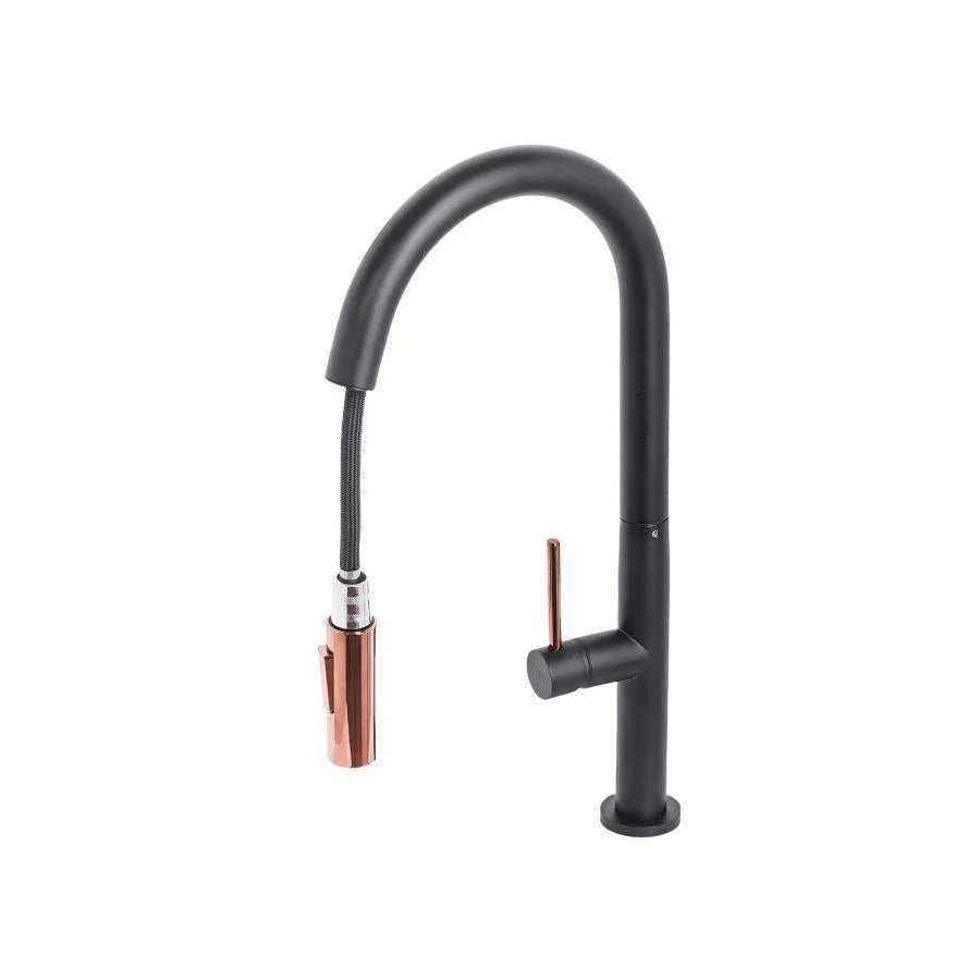Kitchen Faucet with Extractable Shower, Sanitary Brass, Black, CF2042 Kitchen Faucets Default Title Alessandro Design