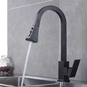 Kitchen Faucet with Extractable Shower, Sanitary Brass, Black, OD/2040 Kitchen Faucets Default Title Alessandro Design