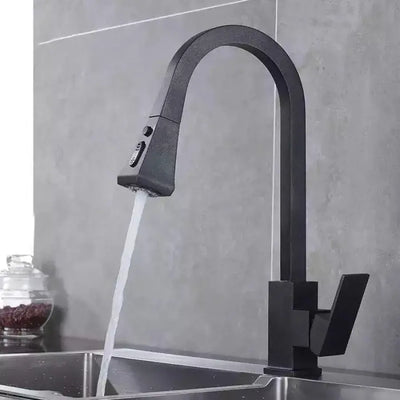 Kitchen Faucet with Extractable Shower, Sanitary Brass, Black, OD/2040